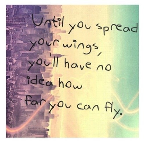 Life Change Can Happen...in Miami?! (& Wodapalooza Fitness Festival 2015) | open your wings open-your-wings
