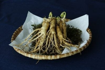 Th1 vs. Th2 Dominance: How To Boost Your Immune Function in Autoimmune Disease | autoimmune disease ginseng 3404958 1280 autoimmune disease