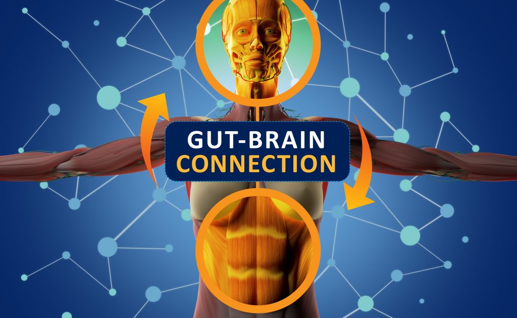 Biological Laws Of German New Medicine - Gut-Brain Connection Or Gut Brain Axis