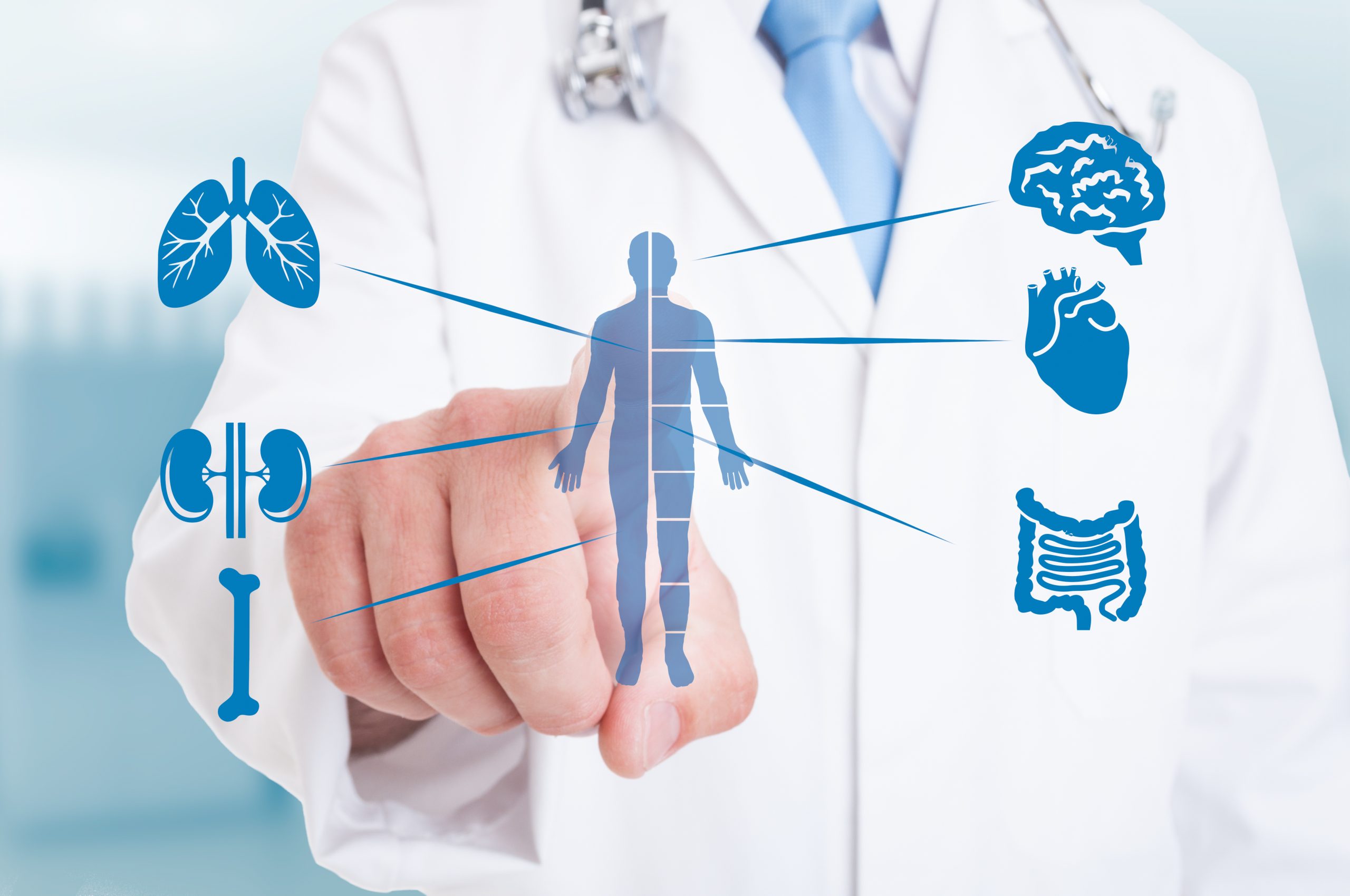5 Best Holistic Cancer Recovery Strategies: A Functional Medicine Approach | Holistic Cancer Recovery Strategies medic pointing on modern hologram with internal organs as good function and healthy organism concept scaled Holistic Cancer Recovery Strategies - medic pointing on modern hologram with internal organs as good function and healthy organism concept