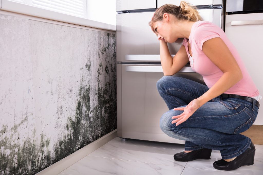 How to Detox from Toxic Mold: 10 Essentials to Detox And Heal Mold Illness 100% | Detox from Toxic Mold Shocked Woman Looking At Mold On Wall Detox from Toxic Mold - Shocked Woman Looking At Mold On Wall