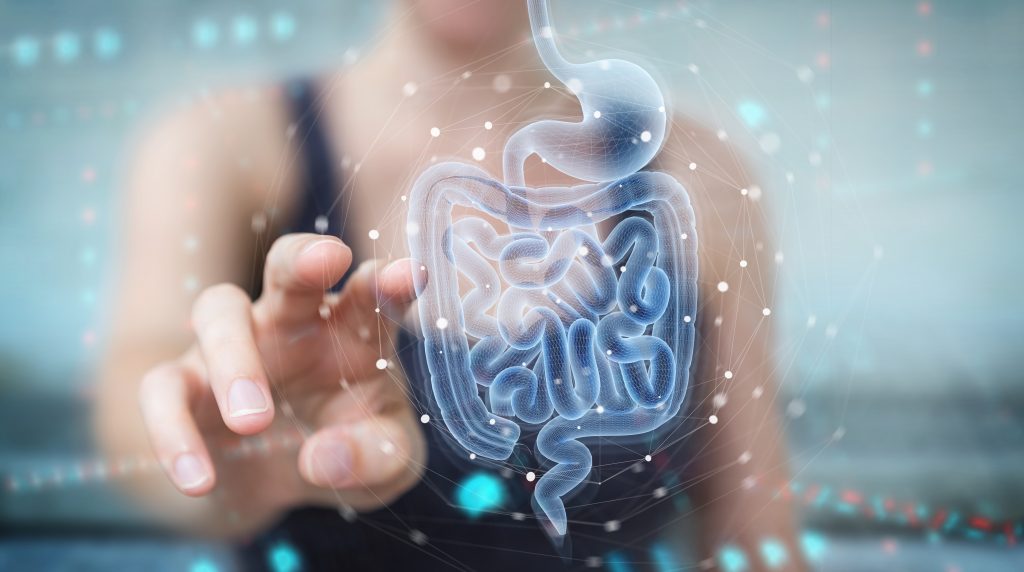 The Ultimate Guide to Gut Health + 3 Essentials to Heal Your Gut | gut health Woman on blurred background using digital x ray of human intestine holographic scan projection 3D gut health - Woman on blurred background using digital x-ray of human intestine holographic scan projection 3D