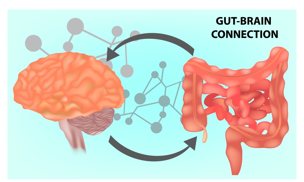 Why Do I Feel Like This? A Total Gut-Brain Reset Journey | total gut brain reset Gut brain connection total gut-brain reset - Gut-brain connection
